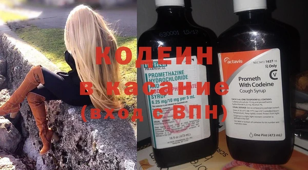 прущие грибы Переславль-Залесский
