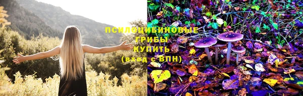 шишки Алексеевка