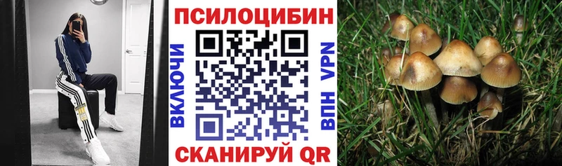 omg онион  как найти   Инсар  Псилоцибиновые грибы ЛСД 