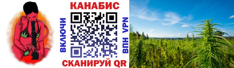 Шишки марихуана OG Kush  купить закладку  Инсар 